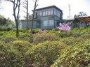 根津神社　つつじ園